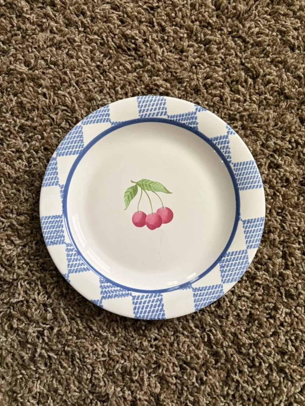 Pfaltzgraff Hopscotch Salad Plates 9”